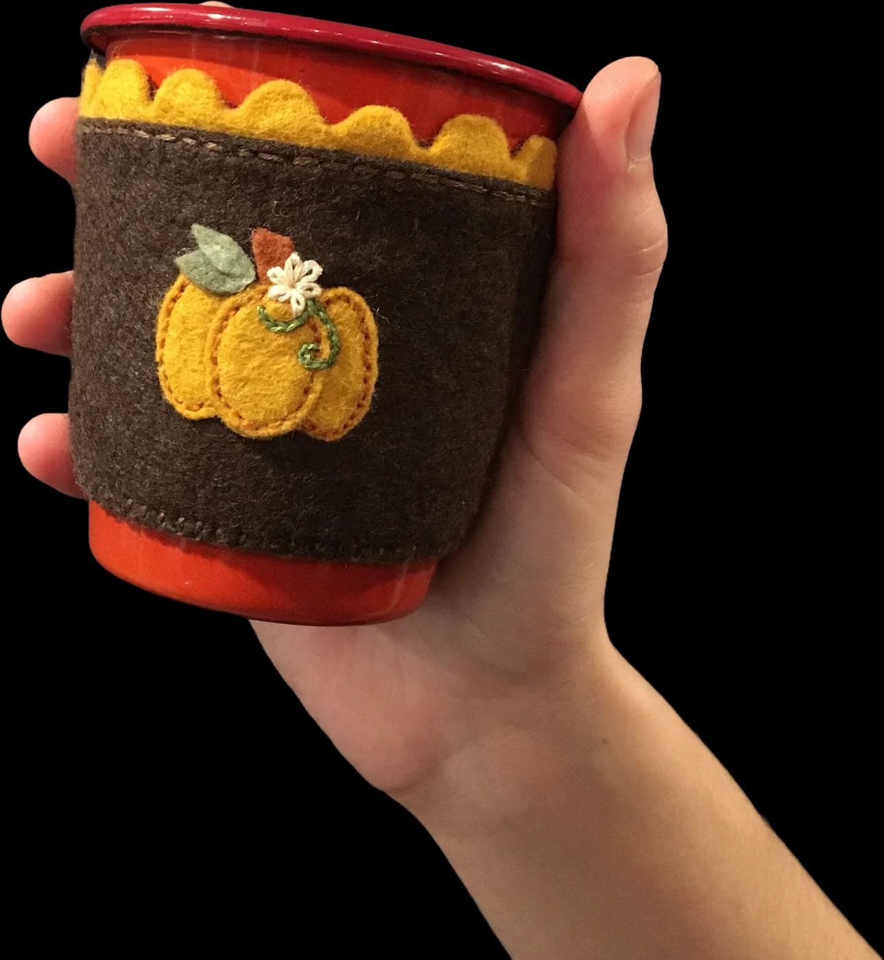 Pumpkin cozy