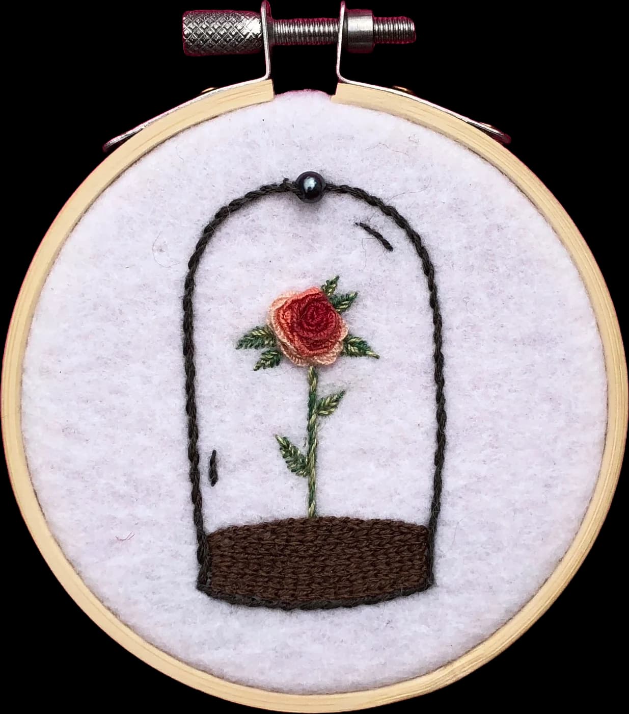 Rose under glass